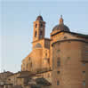 urbino